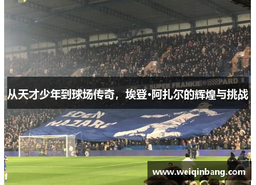 从天才少年到球场传奇，埃登·阿扎尔的辉煌与挑战